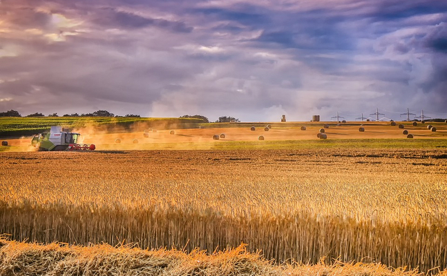 Das EU-Programm "farm to fork" ruiniert die europäische Landwirtschaft.