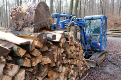 Nachhaltige Waldwirtschaft muss sich auch für die Bauern lohnen.