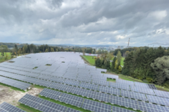 Planlose Energieautarkie: Strom statt Lebensmitteln?