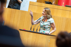 FPÖ-Sozialsprecherin Dagmar Belakowitsch im Parlament.