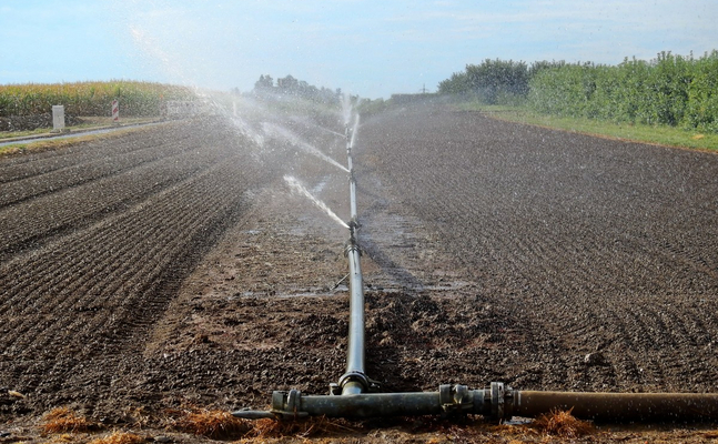 Das viel zu trockene Weinviertel könnte mit einer Wasserleitung aus der Donau ausreichend bewässert werden.