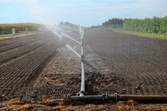 Das viel zu trockene Weinviertel könnte mit einer Wasserleitung aus der Donau ausreichend bewässert werden.