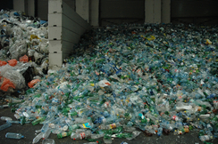 Die FPÖ kritisert das neue Plastik-Pfandsystem der Bundesregierung als sozial unverträglich.