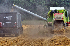 Das Eionkommens-Niveau der Landwirte liegt am Stand von 2011 - und das bei den heutigen Preisen!