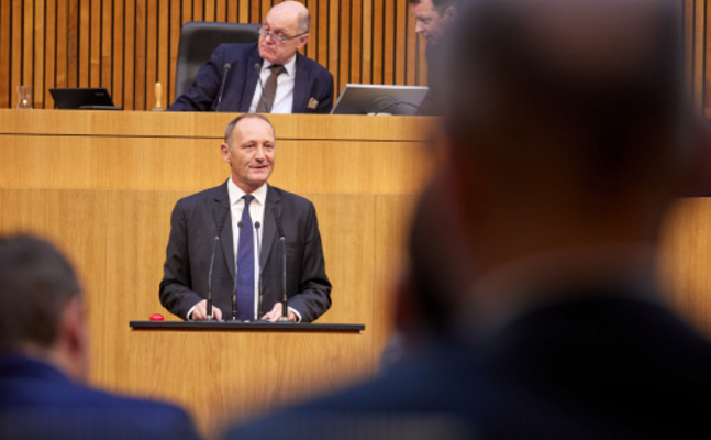 FPÖ-Energiesprecher Axel Kassegger im Hohen Haus.