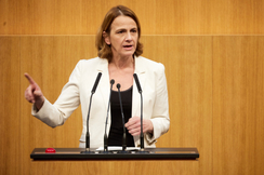 FPÖ-Sozialsprecherin Dagmar Belakowitsch im Nationalrat.