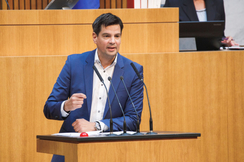FPÖ-Sicherheitssprecher Hannes Amesbauer im Parlament.