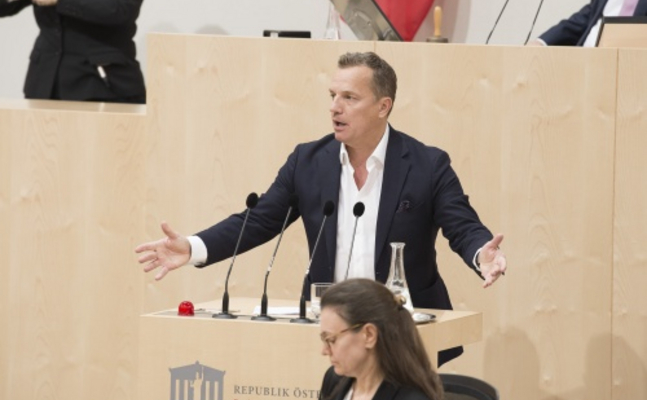 FPÖ-EU-Parlamentarier Georg Mayer im Nationalrat.