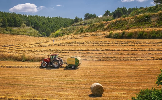 Billig-Importe aus der Ukraine gefährden die heimische Landwirtschaft.