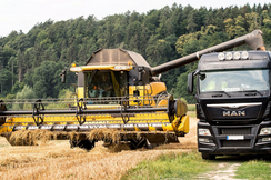 Mit dem EU-Naturierungsgesetz verlieren Bauern bis zu 20 Prozent ihrer Anbauflächen, was Bauernsterben und Preise befeuern wird.