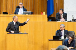 FPÖ-Wirtschaftssprecher Axel Kassegger im Parlament.