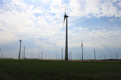 Der Windparl im burgenländischen Andau/Halbturn (Bezirk Neusiedl a. See).