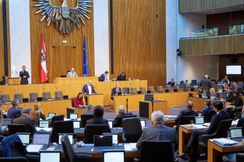 FPÖ-Finanz- und Budgetsprecher Hubert Fuchs im Hohen Haus.