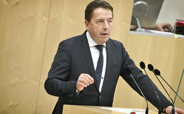 FPÖ-Wirtschaftssprecher Erwin Angerer im Hohen Haus.